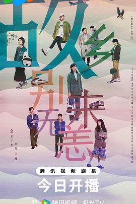 代购行业网站优化有效果